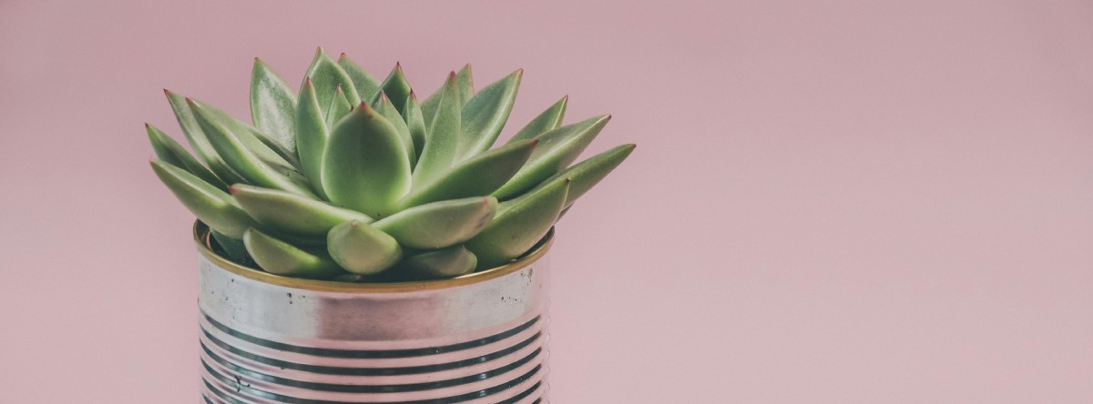 The header for the all apps page